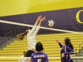 Giant Challenge 2015 volleyball game