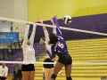 Giant Challenge 2015 volleyball game