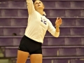 Giant Challenge 2015 volleyball game