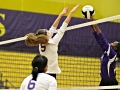 Giant Challenge 2015 volleyball game