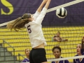 Giant Challenge 2015 volleyball game