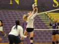 Giant Challenge 2015 volleyball game