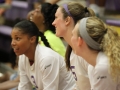 Giant Challenge 2015 volleyball game