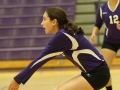 Giant Challenge 2015 volleyball game
