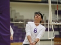 Giant Challenge 2015 volleyball game
