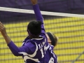 Giant Challenge 2015 volleyball game