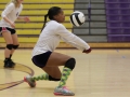 Giant Challenge 2015 volleyball game