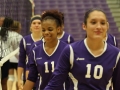 Giant Challenge 2015 volleyball game