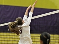 Giant Challenge 2015 volleyball game