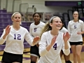 Giant Challenge 2015 volleyball game